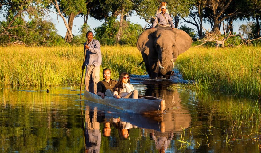 Glimpse Of Botswana