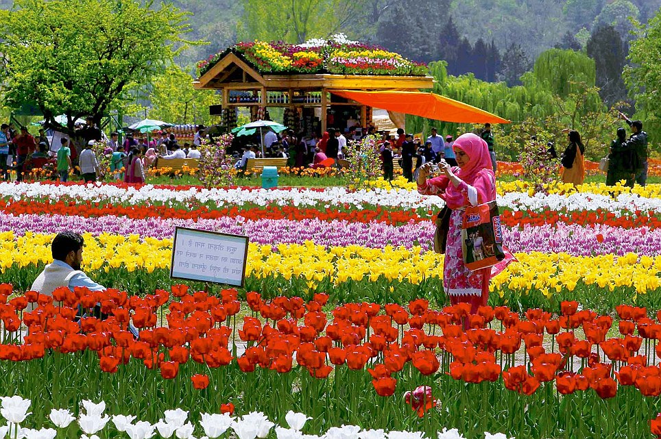 image-5-kashmir