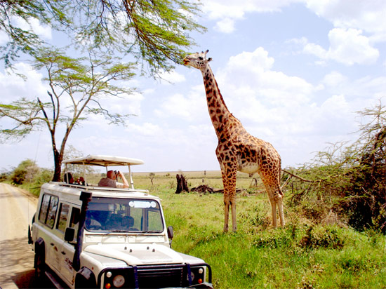 Magical Kenya Safari