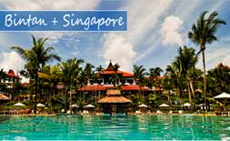 singapore-binton