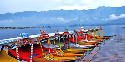 splendid-kashmir