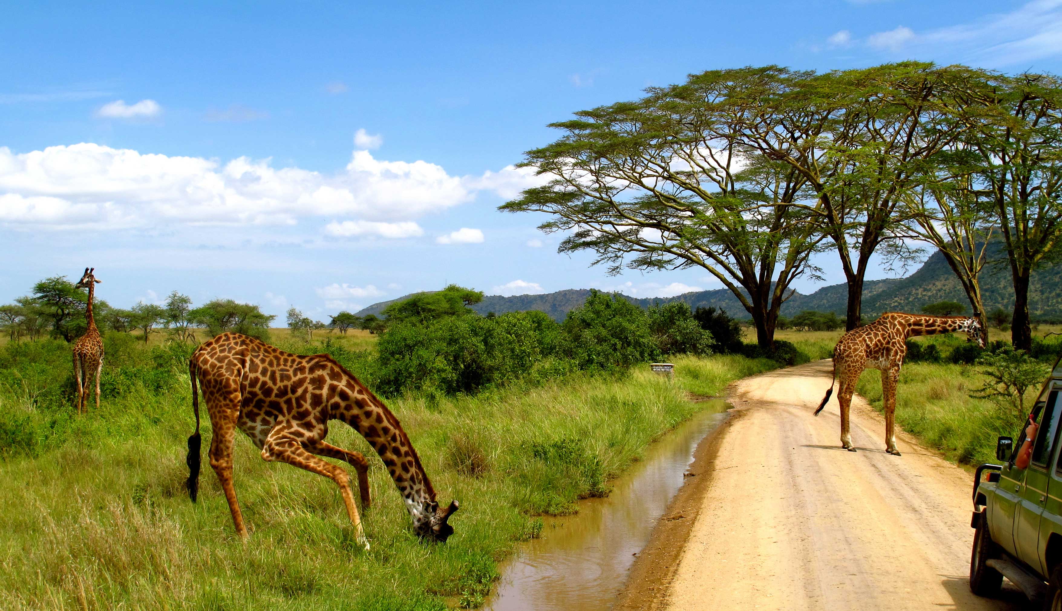 Highlights of Tanzania